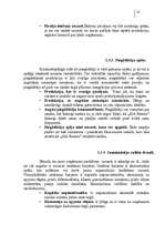 Referāts 'Japāņu restorāna pētīšana (mārketings)', 18.