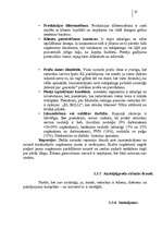 Referāts 'Japāņu restorāna pētīšana (mārketings)', 19.