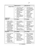 Referāts 'Japāņu restorāna pētīšana (mārketings)', 34.