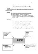 Referāts 'Japāņu restorāna pētīšana (mārketings)', 39.