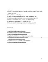 Referāts 'Romas impērijas raksturojums', 35.