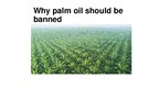 Prezentācija 'Palm Oil', 1.