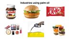 Prezentācija 'Palm Oil', 3.