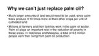 Prezentācija 'Palm Oil', 10.