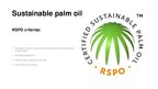 Prezentācija 'Palm Oil', 11.