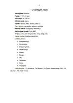 Referāts 'Krievijas Federācijas sociāli ekonomiskie rādītāji', 4.