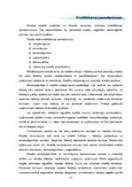 Referāts 'Kredītrisks, kredītpolitika', 5.