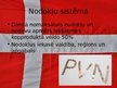 Prezentācija 'Dānijas mārketinga vides raksturojums', 16.