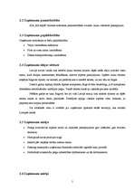 Biznesa plāns 'Viesu nams "Kā mājās"', 5.