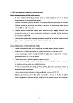 Biznesa plāns 'Viesu nams "Kā mājās"', 9.