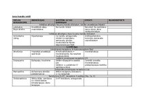 Konspekts 'Farmakoloģija, zāļu aktīvo vielu apraksts', 1.