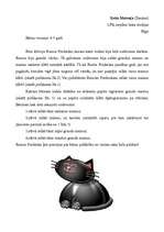 Konspekts 'Pirmsskolas grupēšanas uzdevums matemātikā', 1.