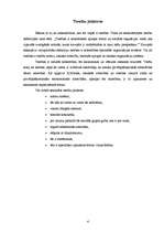 Referāts 'Tiesības ierobežot interneta izmantošanu', 4.