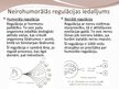 Prezentācija 'Neirohormonālā regulācija', 4.