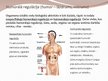 Prezentācija 'Neirohormonālā regulācija', 5.