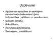 Referāts 'E-komercijas kvalitāte un drošība - kvantitatīvs pētījums', 13.