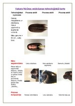 Paraugs 'Vakara frizūras veidošanas tehnoloģiskā karte', 1.