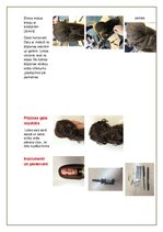 Paraugs 'Vakara frizūras veidošanas tehnoloģiskā karte', 2.