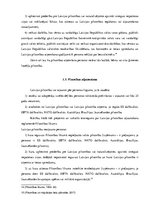 Referāts 'Pilsonības institūts Latvijā', 14.