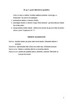 Konspekts '20.gadsimta literāti', 7.