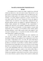 Eseja 'Tranzīta pārvadājumu tiesiskie pamati', 1.