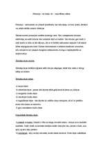 Referāts 'Āfrikas ritmi. Perkusijas', 2.