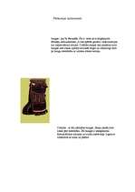 Referāts 'Āfrikas ritmi. Perkusijas', 4.