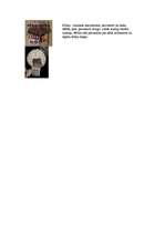 Referāts 'Āfrikas ritmi. Perkusijas', 6.