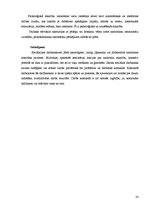 Diplomdarbs 'Preventīvais sociālais darbs ar jauniešiem narkotiku atkarības mazināšanai', 30.