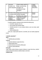 Diplomdarbs 'Preventīvais sociālais darbs ar jauniešiem narkotiku atkarības mazināšanai', 44.