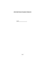 Prakses atskaite 'Profesionālās prakses pārskats', 1.