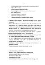 Prakses atskaite 'Profesionālās prakses pārskats', 9.