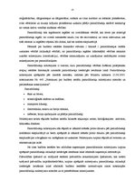 Prakses atskaite 'Profesionālās prakses pārskats', 14.