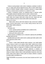 Prakses atskaite 'Profesionālās prakses pārskats', 19.