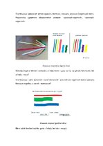 Konspekts 'Bilingvālā nodarbība pirmsskolā: salīdzināšana', 3.