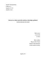 Referāts 'Interjers un dabas materiāli mūsdienu tehnoloģiju gadsimtā', 1.