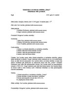 Paraugs 'SIA "Dekor"', 1.