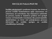 Prezentācija 'Sociālie pakalpojumi un sociālā palīdzība no ieslodzījuma atbrīvotajiem', 3.