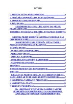 Biznesa plāns 'SIA "Freedom" biznesa plāns laika posmam no 2015.gada 1.jūnija līdz 2017.gada 1.', 2.