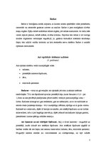 Konspekts 'Acs optiskā sistēma', 3.