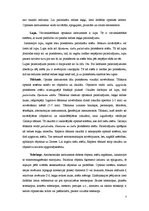 Konspekts 'Acs optiskā sistēma', 7.