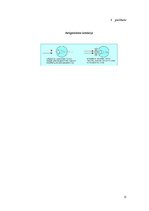 Konspekts 'Acs optiskā sistēma', 15.