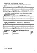 Biznesa plāns 'SMF SIA "Plastic"', 4.