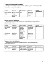 Biznesa plāns 'SMF SIA "Plastic"', 12.