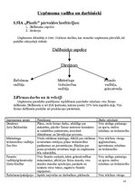 Biznesa plāns 'SMF SIA "Plastic"', 13.