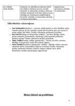 Biznesa plāns 'SMF SIA "Plastic"', 14.