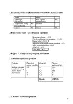 Biznesa plāns 'SMF SIA "Plastic"', 16.