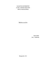 Konspekts 'Reklāmas analīze', 1.