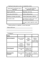 Konspekts 'Individuālais izglītības programmas apguves plāns izglītojamam ar speciālām vaja', 2.