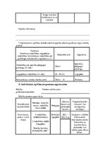 Konspekts 'Individuālais izglītības programmas apguves plāns izglītojamam ar speciālām vaja', 3.
